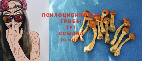 бошки Володарск