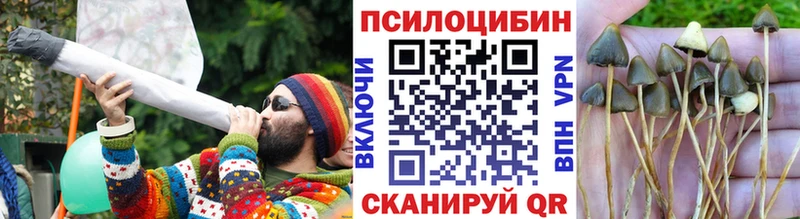 Псилоцибиновые грибы Cubensis  купить наркотик  Спас-Клепики 